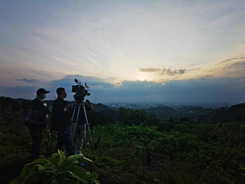 聚焦桓台县产品宣传视频拍摄公司，用专业实力铸就品牌传播传奇