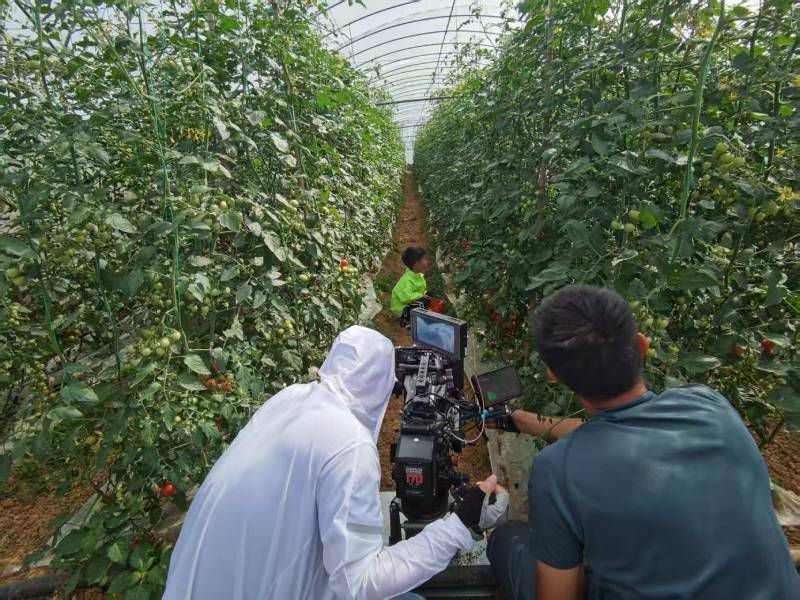 桓台县产品宣传视频拍摄公司进阶指南，助力品牌抢占传播高地